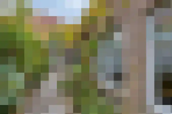 Groen van Prinstererweg 45 De Bilt thumbnail 37