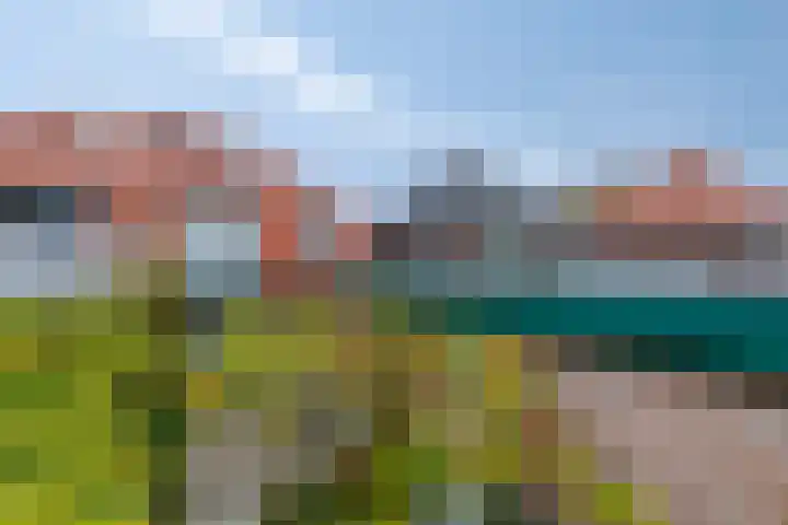 Groen van Prinstererweg 45 De Bilt thumbnail 38