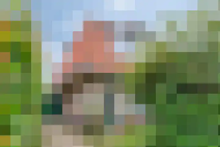 Groen van Prinstererweg 45 De Bilt thumbnail 39