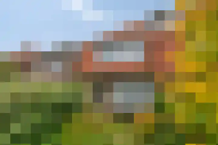 Groen van Prinstererweg 45 De Bilt thumbnail 40