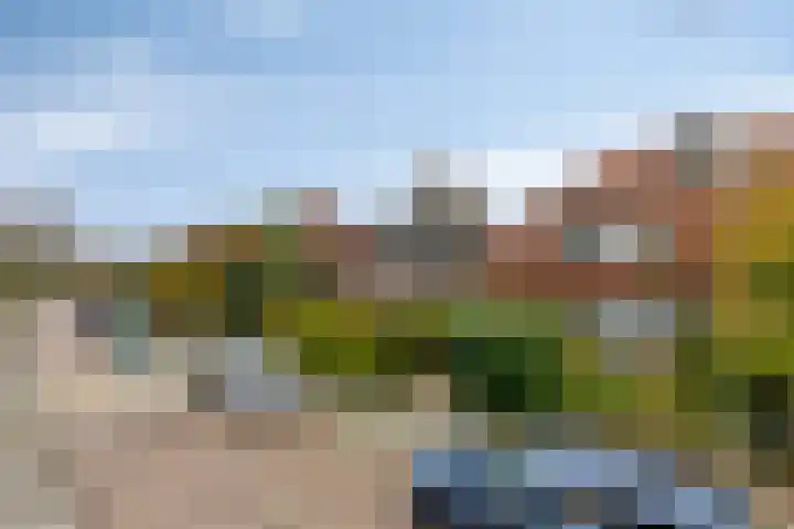 Groen van Prinstererweg 45 De Bilt thumbnail 42