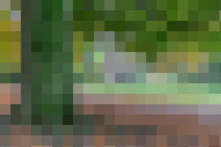 Groen van Prinstererweg 45 De Bilt thumbnail 44