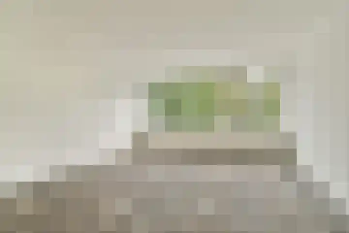 Groen van Prinstererweg 47 Dordrecht thumbnail 9