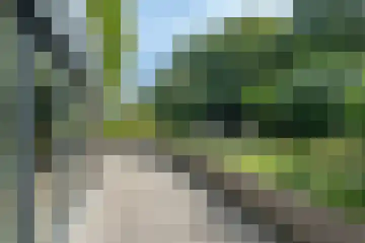Groen van Prinstererweg 57 Katwijk thumbnail 42