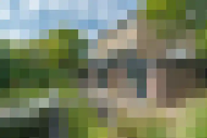 Groen van Prinstererweg 57 Katwijk thumbnail 43