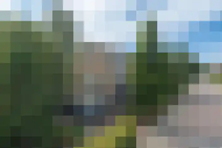 Groen van Prinstererweg 57 Katwijk thumbnail 44