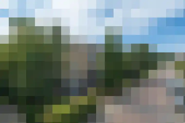 Groen van Prinstererweg 57 Katwijk thumbnail 45