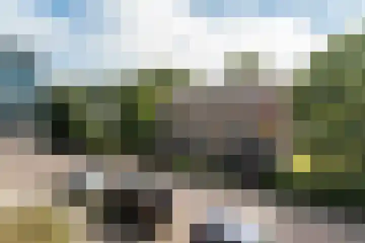 Groen van Prinstererweg 57 Katwijk thumbnail 6