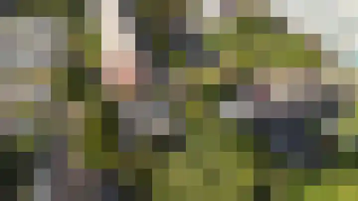 Groen van Prinstererweg 57 Katwijk thumbnail 64