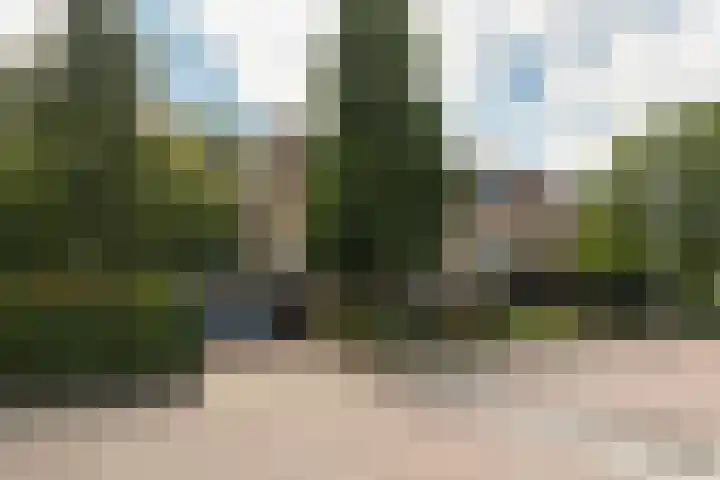 Groen van Prinstererweg 57 Katwijk thumbnail 7