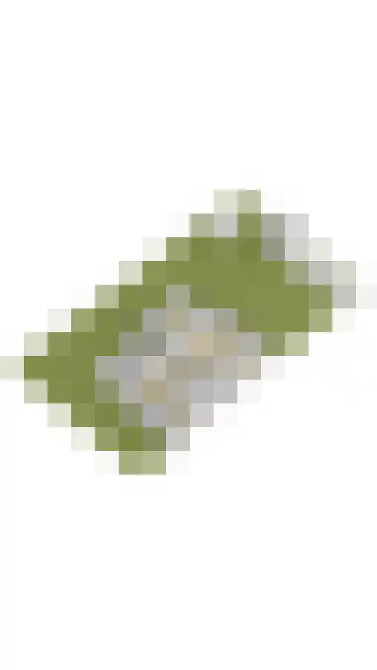 Groen van Prinstererweg 57 Katwijk thumbnail 76
