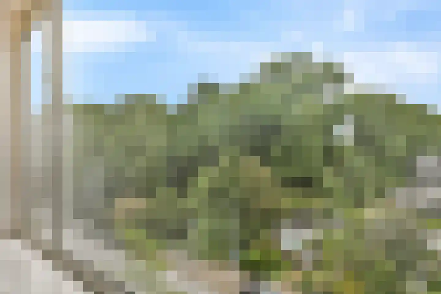 Groen van Prinstererweg 77 Dordrecht thumbnail 12