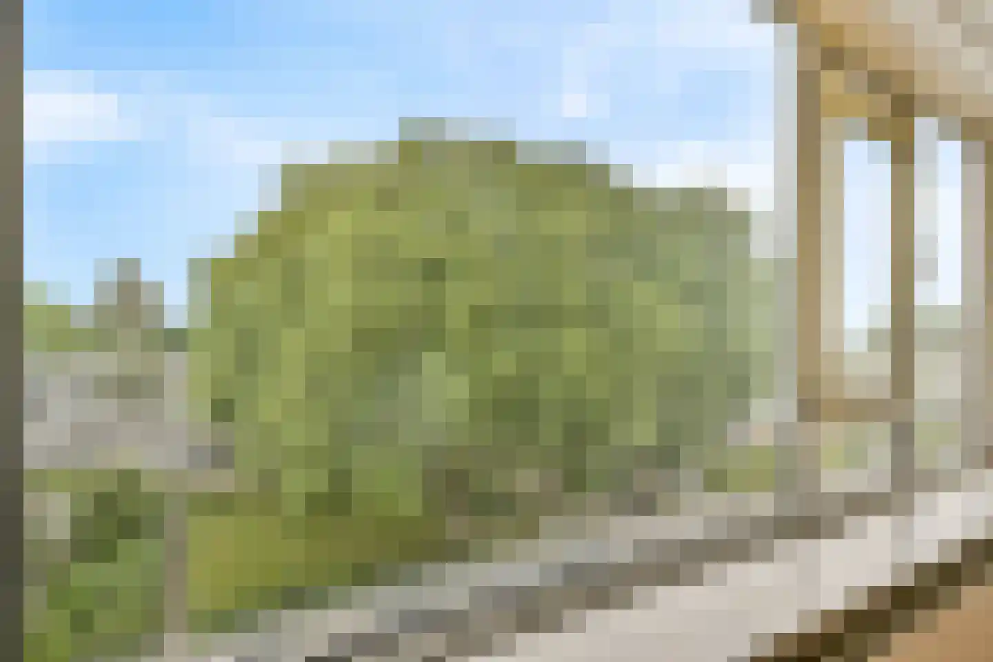 Groen van Prinstererweg 77 Dordrecht thumbnail 13