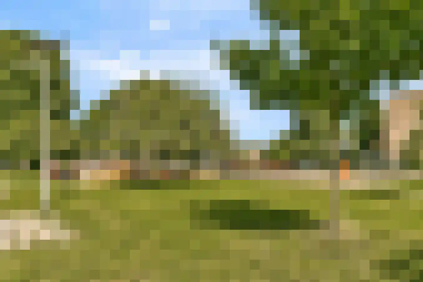 Groen van Prinstererweg 77 Dordrecht thumbnail 30