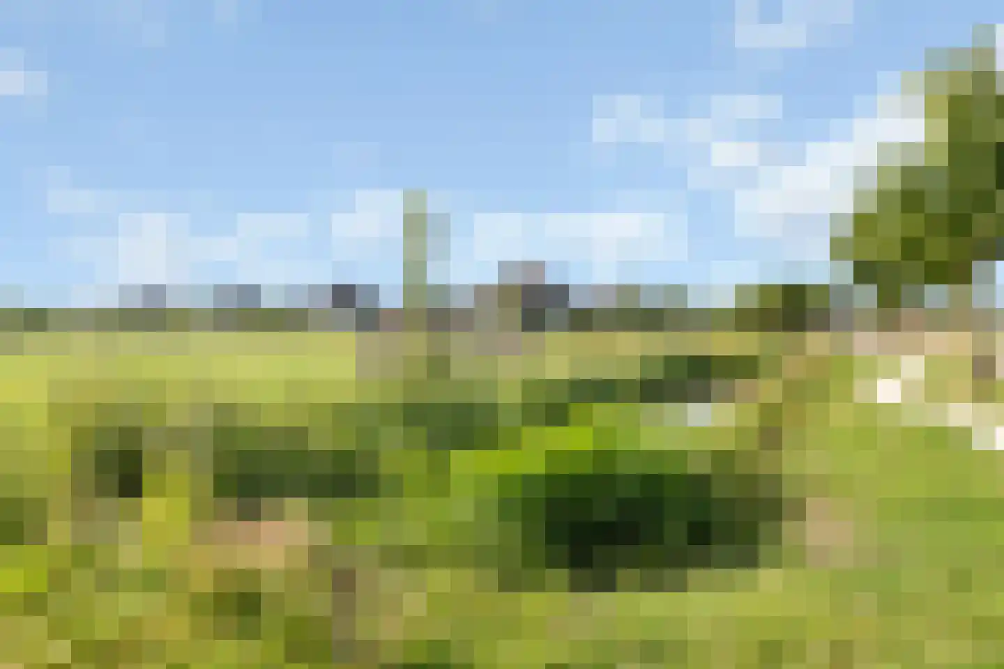 Groenallee 12 Nijkerk thumbnail 46