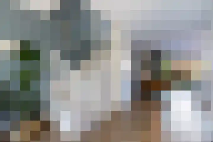Groenallee 17 Nijkerk thumbnail 14
