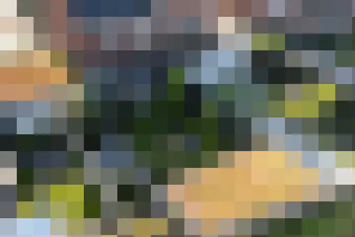 Groenallee 17 Nijkerk thumbnail 29