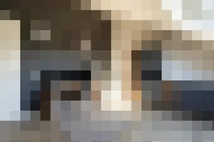 Groenallee 17 Nijkerk thumbnail 42