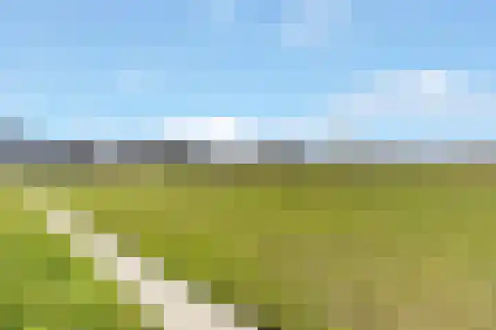 Groenallee 57 Nijkerk thumbnail 29