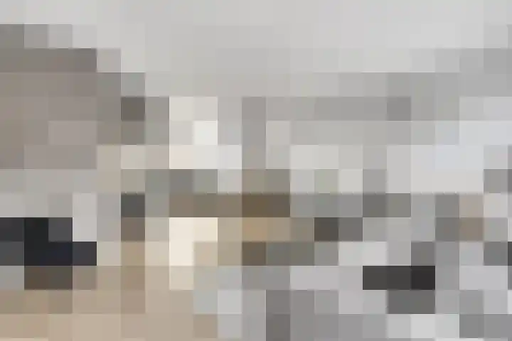 Groenallee 57 Nijkerk thumbnail 8