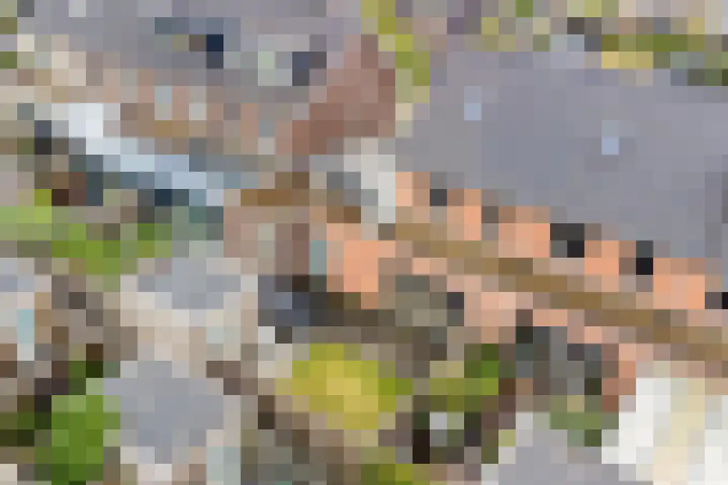 Groenallee 75 Nijkerk thumbnail 34