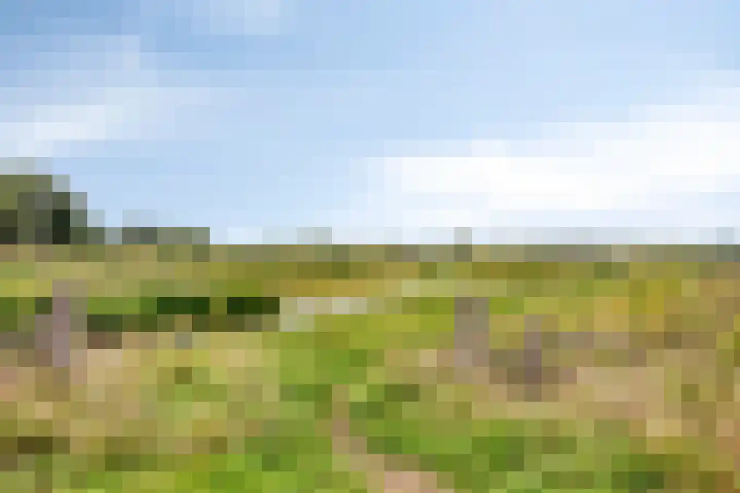 Groenallee 75 Nijkerk thumbnail 37