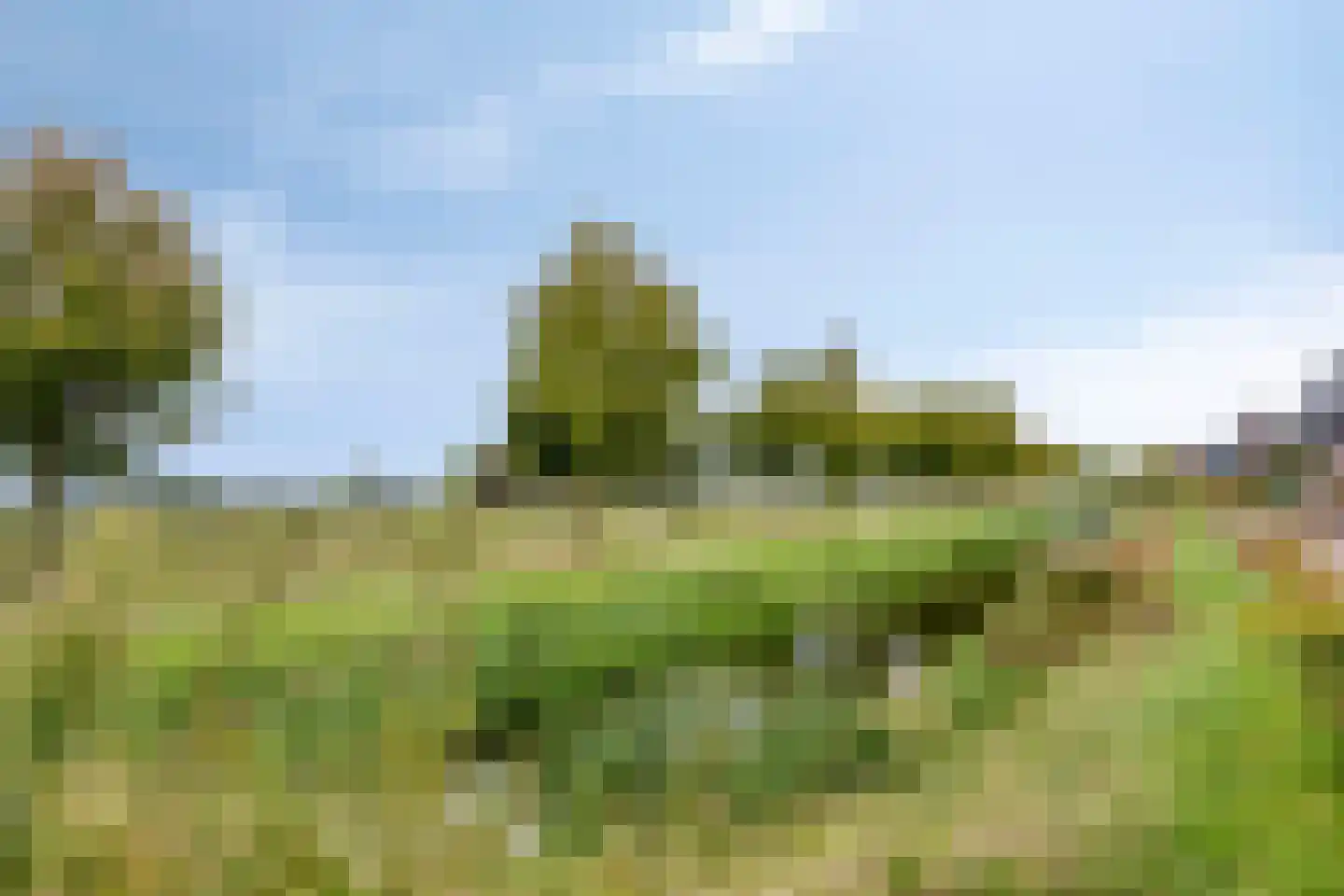 Groenallee 75 Nijkerk thumbnail 38