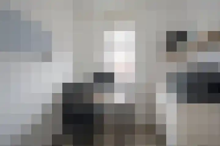 Groenallee 79 Nijkerk thumbnail 18