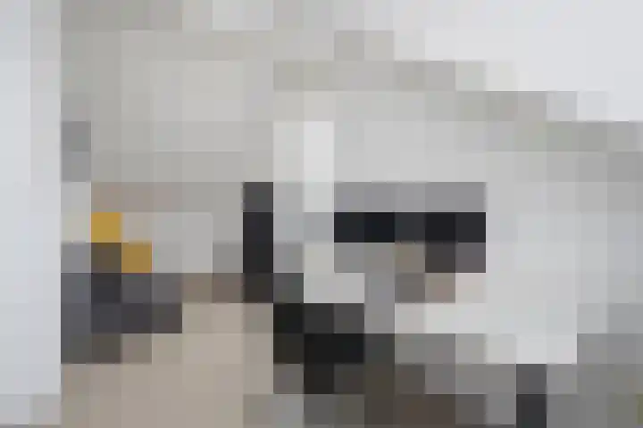 Groenallee 79 Nijkerk thumbnail 27