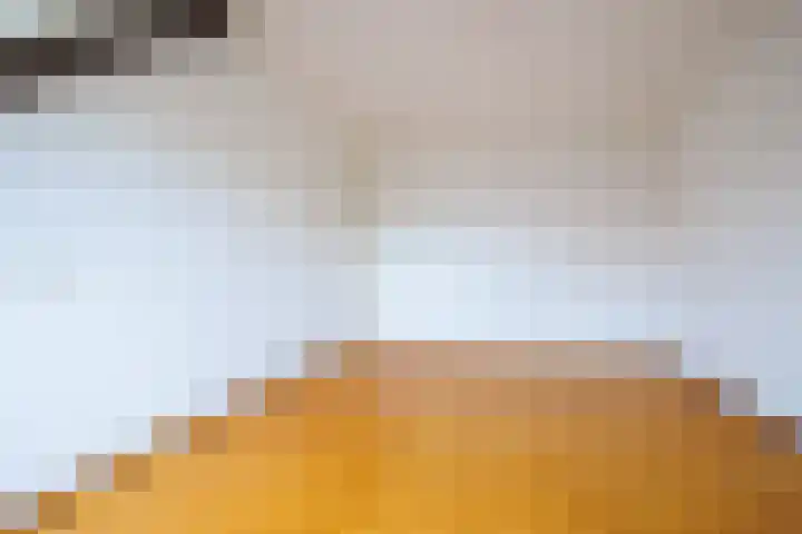 Groenbergen 9 Leersum thumbnail 17