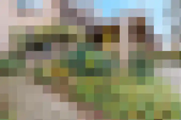 Groenbergen 9 Leersum thumbnail 35
