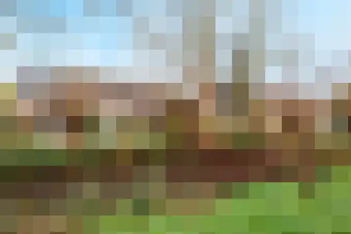 Groenbergen 9 Leersum thumbnail 38