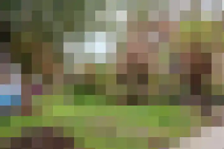 Groenbergen 9 Leersum thumbnail 39