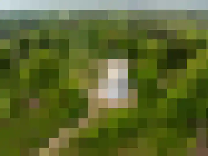 Groenbergen 9 Leersum thumbnail 40
