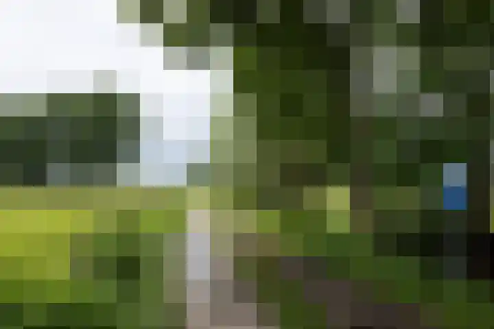 Groenbergen 9 Leersum thumbnail 43