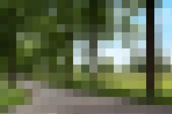 Groenbergen 9 Leersum thumbnail 44