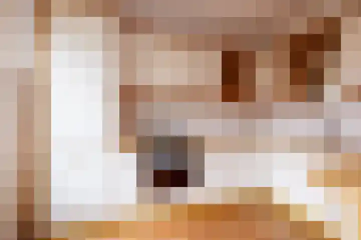 Groenbergen 9 Leersum thumbnail 8