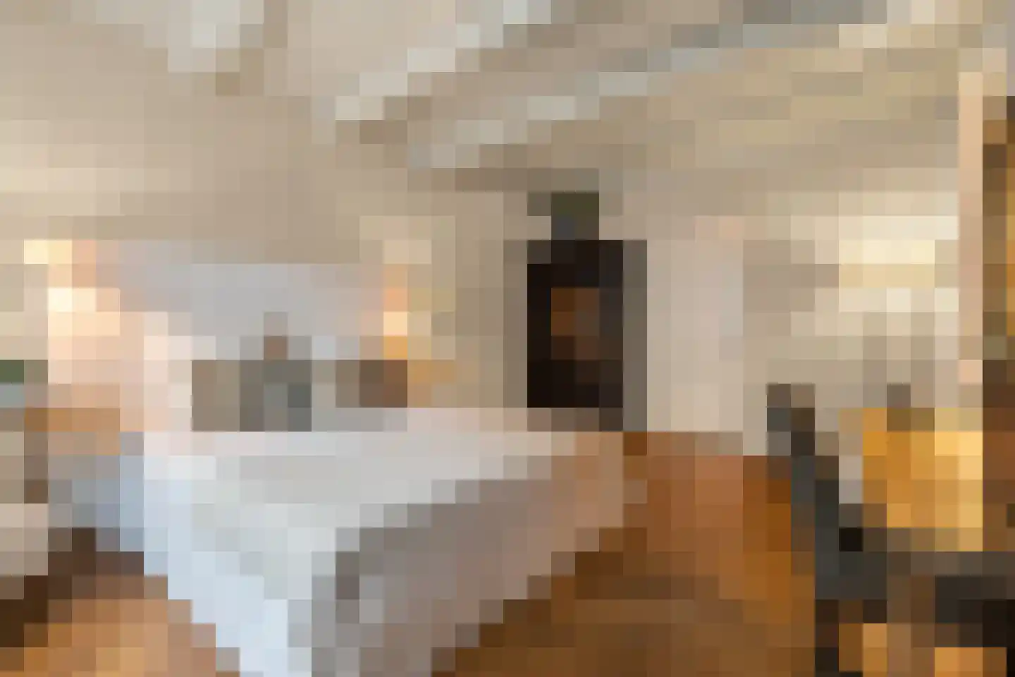 Groenburgwal 1 Amsterdam thumbnail 19