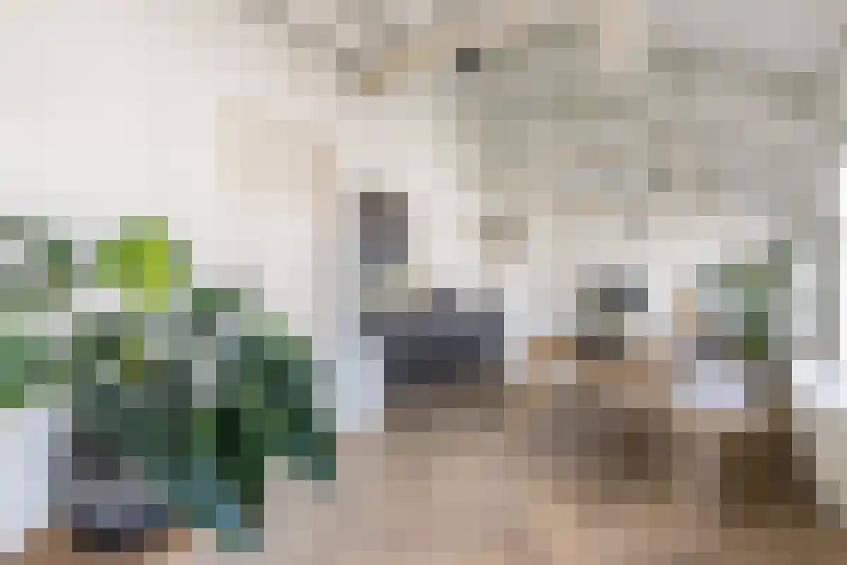 Groenburgwal 24 Amsterdam thumbnail 5