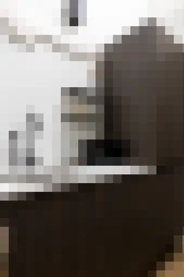 Groenburgwal 24 E Amsterdam thumbnail 17