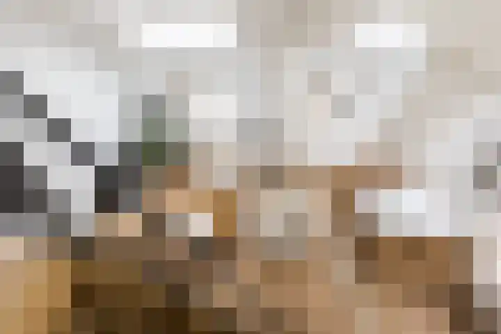 Groenburgwal 24 E Amsterdam thumbnail 26