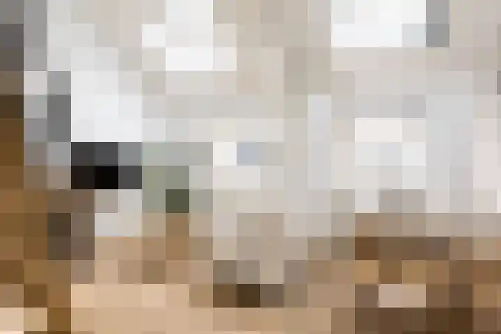 Groenburgwal 24 E Amsterdam thumbnail 6