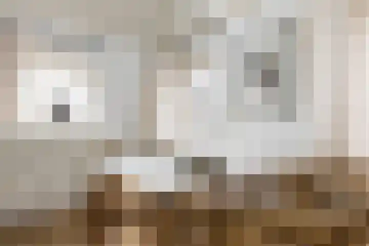 Groenburgwal 24 E Amsterdam thumbnail 7