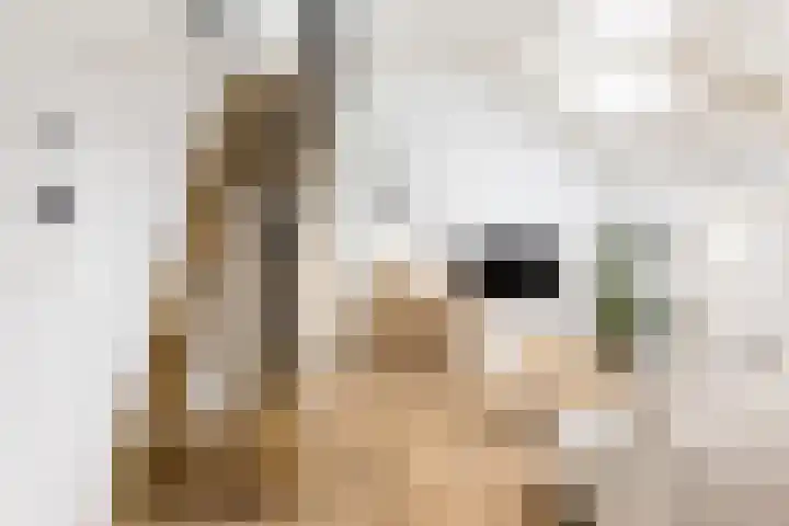 Groenburgwal 24 E Amsterdam thumbnail 8