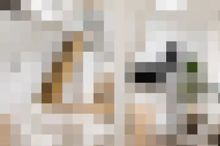 Groenburgwal 24 E Amsterdam thumbnail 9