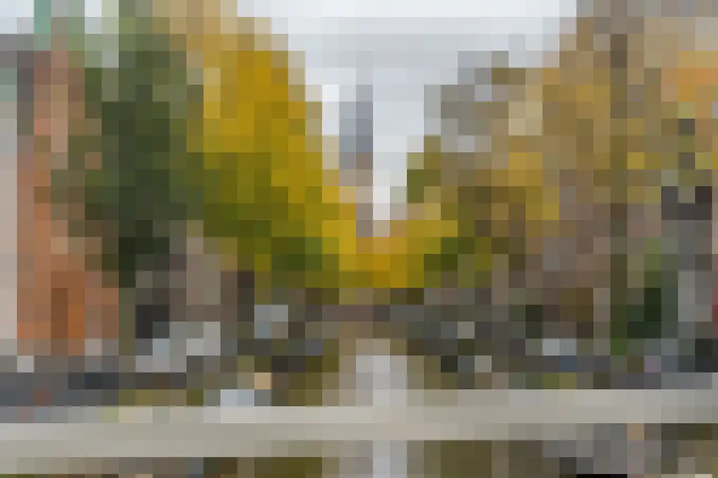 Groenburgwal 38 B Amsterdam thumbnail 11