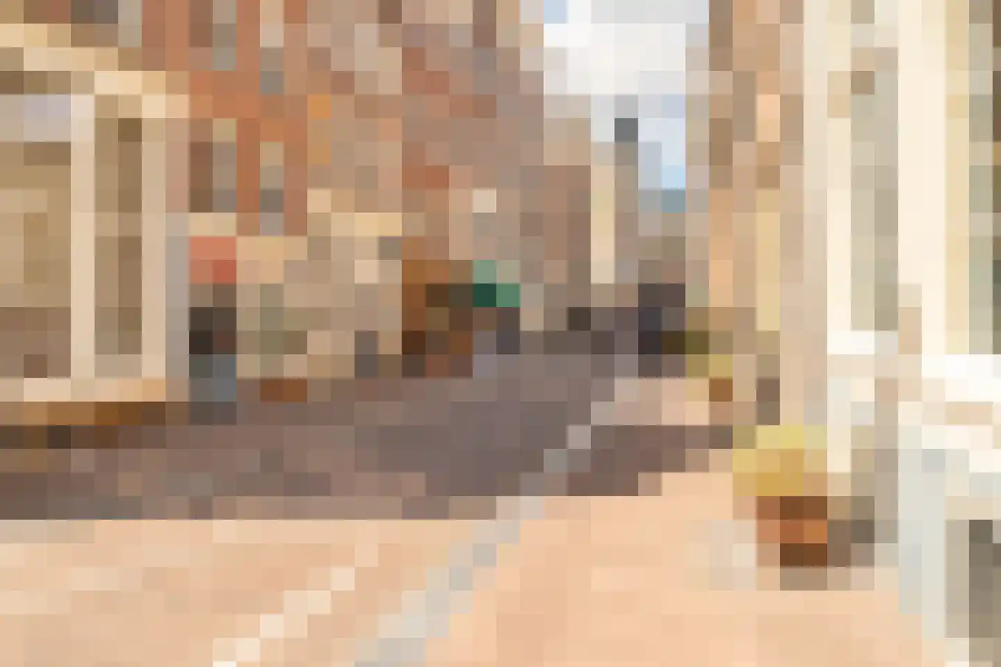 Groenburgwal 38 C Amsterdam thumbnail 19