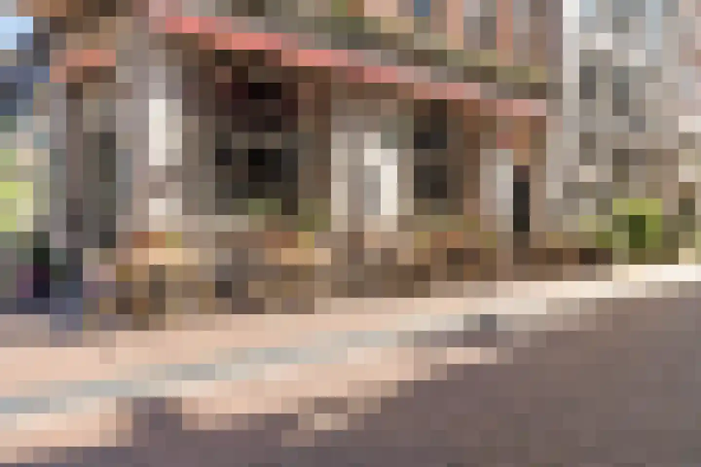 Groenburgwal 55 D Amsterdam thumbnail 30