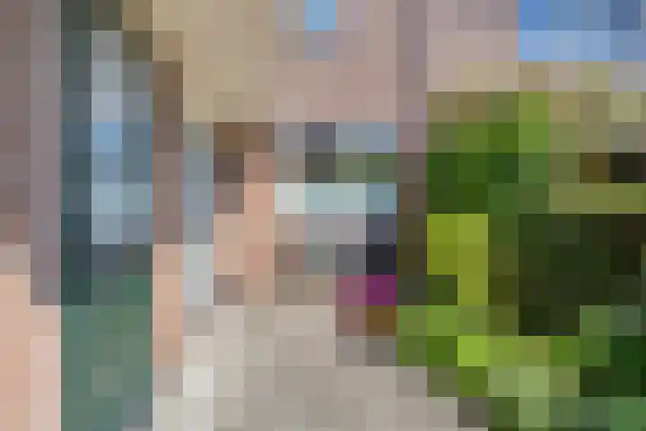 Groendaal 6 Pijnacker thumbnail 4