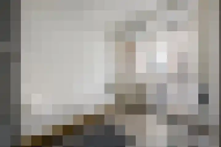Groendaalsteeg 20 Haarlem thumbnail 11